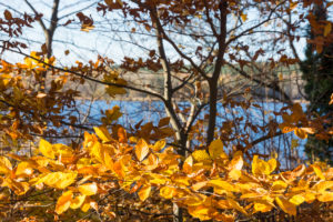 Berlin, Wannsee, Herbststimmung Berlin, Wannsee, Herbststimmung